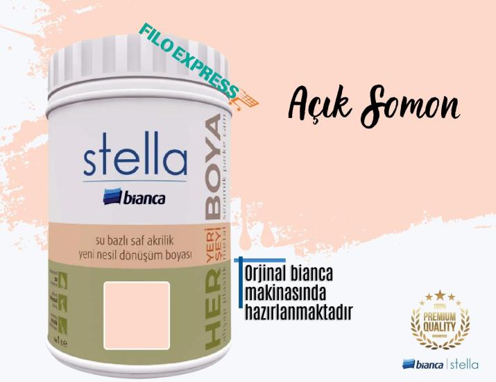 Bi̇anca Stella Su Bazlı Saf Akri̇li̇k Boya 1 Li̇tre Açık Somon