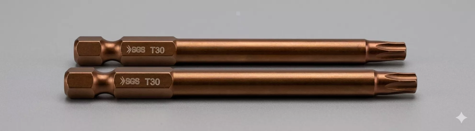Torx Uçlu Bits Uç T30 X 100 Mm (2 Adet)