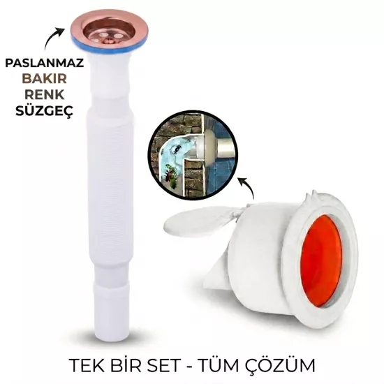 Rose Körüklü Lavabo Gider Si̇fonu (Üstü Paslanmaz Altı Plastik) + Çekvalfli Conta Kötü Koku Böcek Kirli Su Önleyici Lavabo Gider Aparatı